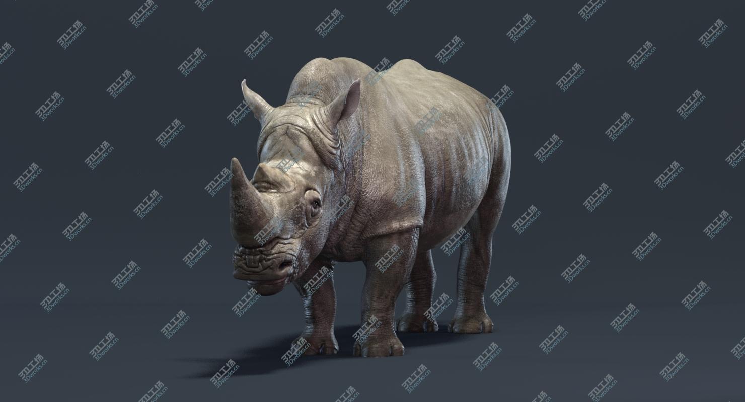 images/goods_img/20210319/3D Rhino/2.jpg